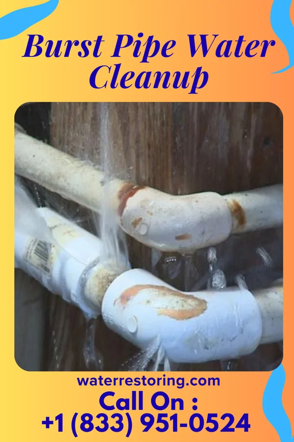 Burst Pipe Water Cleanup in Breezy Point, MN