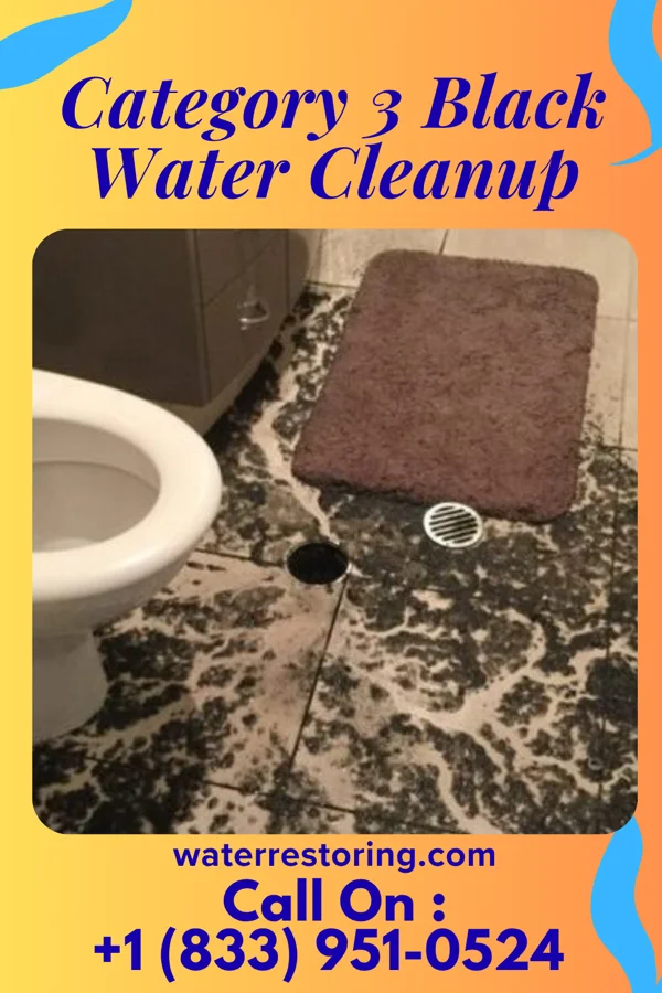 Category 3 Black Water Cleanup in Breezy Point, MN