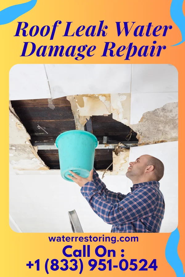 Roof Leak Water Damage Repair in Breezy Point, MN